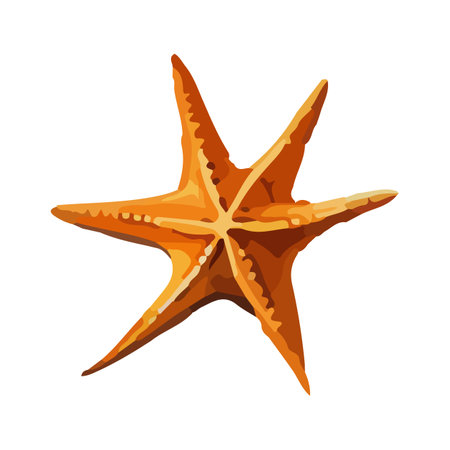 Vector starfish watercolor. Beautiful hand-drawn seashell clipart isolated on white background.のイラスト素材