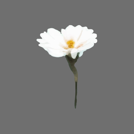 Vector Narcissus, clematis, snowdrop, white flower painted in watercolor.のイラスト素材