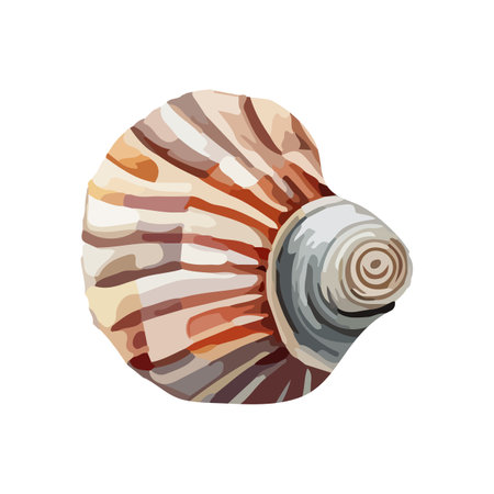 Vector Seashell watercolor illustration. Hand drawn underwater element design. Artistic vector marine design element. Illustration for greeting cards, printing and other design projects.のイラスト素材