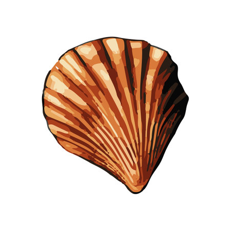 Vector Seashell watercolor illustration. Hand drawn underwater element design. Artistic vector marine design element. Illustration for greeting cards, printing and other design projects.のイラスト素材