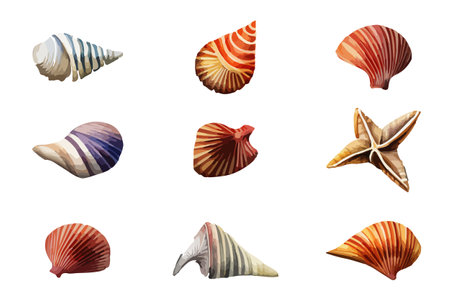 Vector summer set Seashell watercolor illustration. Hand drawn underwater element design for greeting card, printing.のイラスト素材