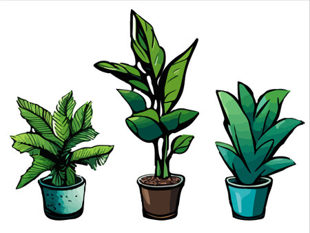 Potted leaf and flower plants set. Houseplants, succulents, cactus, ficus, monstera growing in planters, flowerpots, vase. Home green decoration.のイラスト素材