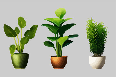Realistic house plats set with monstera sansevieria banana palm ficus and rhopalostylis in pots on transparent background isolatedのイラスト素材