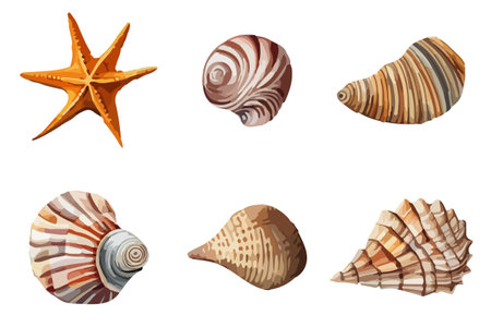 Vector summer set Seashell watercolor illustration. Hand drawn underwater element design for greeting card, printing.のイラスト素材