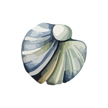 Vector Seashell watercolor illustration. Hand drawn underwater element design. Artistic vector marine design element. Illustration for greeting cards, printing and other design projects.のイラスト素材