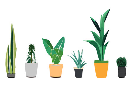 Urban jungle, trendy home decor with plants, cacti, tropical leaves in stylish planters and pots.のイラスト素材
