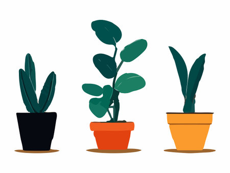 Urban jungle, trendy home decor with plants, cacti, tropical leaves in stylish planters and pots.のイラスト素材