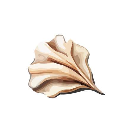 Vector Seashell watercolor illustration. Hand drawn underwater element design. Artistic vector marine design element. Illustration for greeting cards, printing and other design projects.のイラスト素材