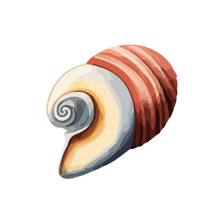 Vector Seashell watercolor illustration. Hand drawn underwater element design. Artistic vector marine design element. Illustration for greeting cards, printing and other design projects.のイラスト素材