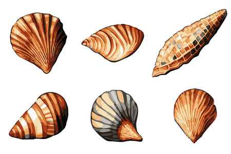 Vector summer set Seashell watercolor illustration. Hand drawn underwater element design for greeting card, printing.のイラスト素材