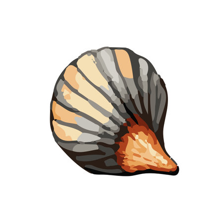 Vector Seashell watercolor illustration. Hand drawn underwater element design. Artistic vector marine design element. Illustration for greeting cards, printing and other design projects.のイラスト素材
