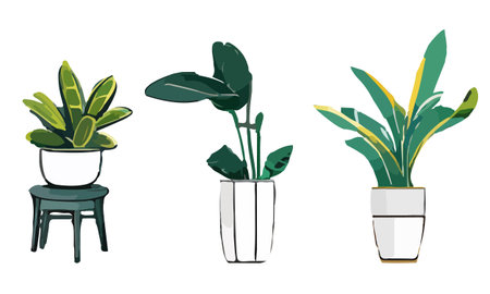 Urban jungle, trendy home decor with plants, cacti, tropical leaves in stylish planters and pots.のイラスト素材