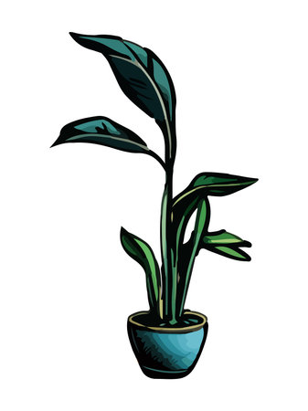 Cartoon flat different indoor potted decorative houseplants for interior homeのイラスト素材