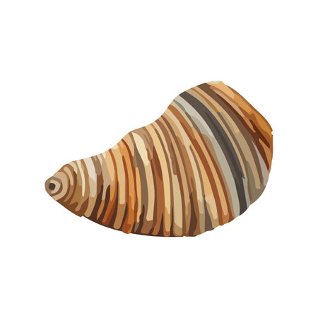 Vector Seashell watercolor illustration. Hand drawn underwater element design. Artistic vector marine design element. Illustration for greeting cards, printing and other design projects.のイラスト素材