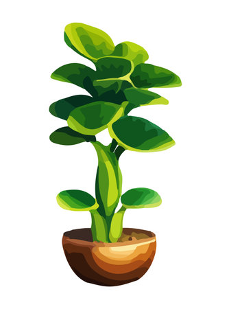 Realistic house plat with monstera sansevieria banana palm ficus and rhopalostylis in pot on transparent background.のイラスト素材