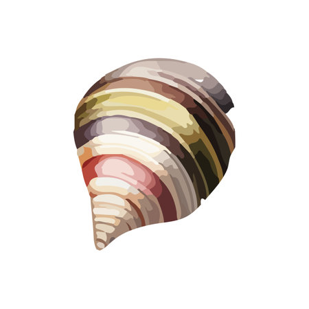 Vector Seashell watercolor illustration. Hand drawn underwater element design. Artistic vector marine design element. Illustration for greeting cards, printing and other design projects.のイラスト素材