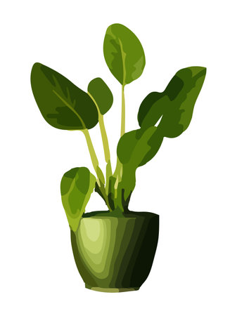 Realistic house plat with monstera sansevieria banana palm ficus and rhopalostylis in pot on transparent background.のイラスト素材