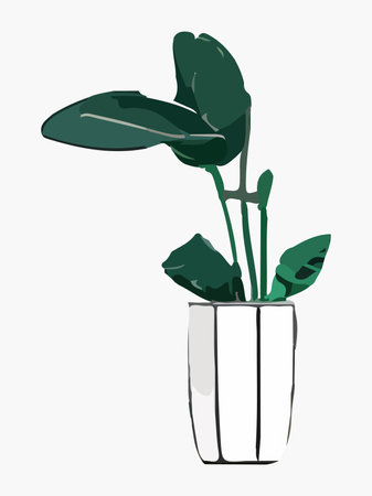 Plant in pot vector illustration. Cartoon flat different indoor potted decorative houseplant for interior home or office decoration, green garden floral icon isolated on white.のイラスト素材