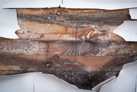 Old wooden background with had fallen away white paint on the edges