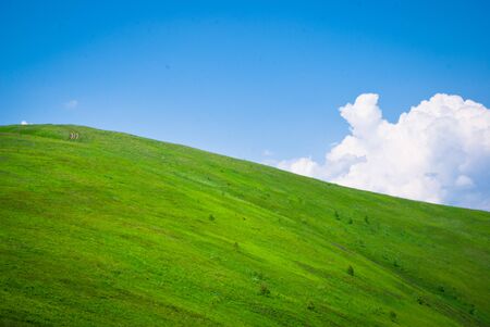 Beautiful scenery mountain meadow on a clear sunny dayの写真素材