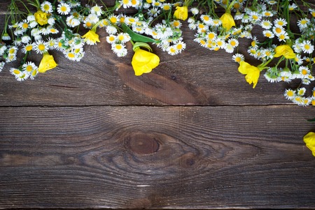Organic background with chamomiles at  wooden surfaceの写真素材