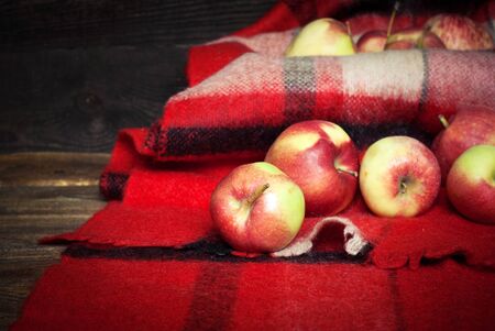 Several ripe red apples on a plaidの写真素材