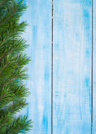 Winter christmas background with fir branches at blue wooden backgroundの写真素材