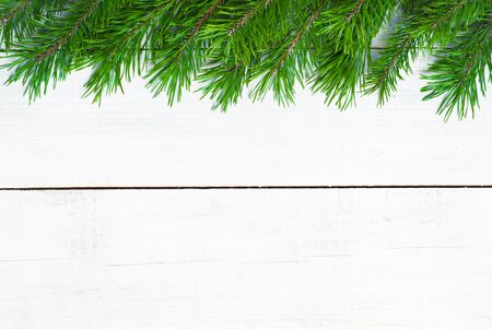 Winter christmas background with fir branches at white wooden background. Copy spase.の写真素材