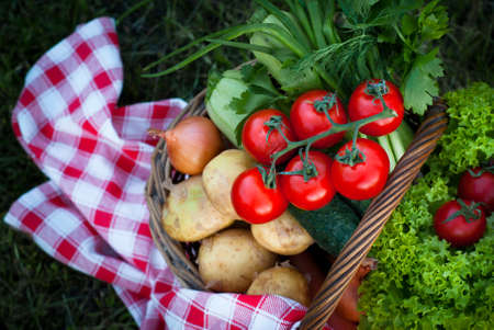 Basket with fresh farm vegetables in the grass. Picnic. Healthy food.の写真素材
