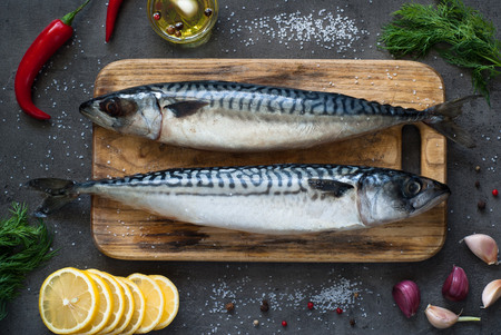 Fresh fish. Raw mackerel with salt, lemon and spices on a dark background.の写真素材