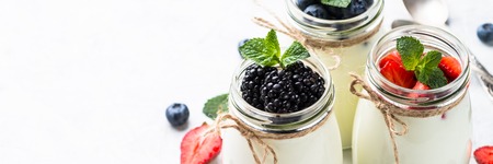 Fresh homemade yogurt with berries in glass jars. Long banner format good for web.の写真素材
