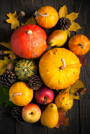 Thanksgiving day background. Harvest concept. Pumpkin, apple, pear and leaves at dark wooden table. Top view.の写真素材