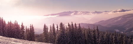 Winter mountains landscape outdoor background. Nature snowy panorama. Long banner format.の写真素材
