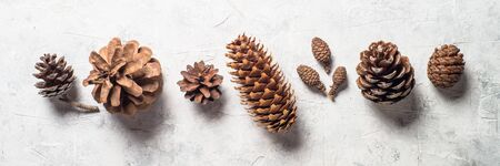 Christmas background with pine cones.の写真素材