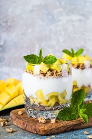 Parfait with yogurt, mango and granola.の写真素材