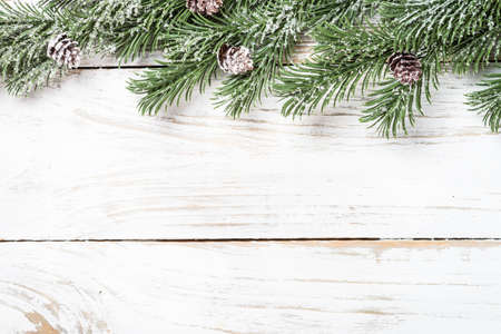 Winter fir tree with snow at white table.