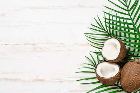 Palm leaves and coconut on whitee top view.の写真素材