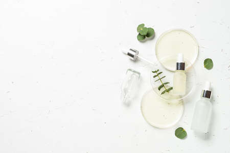 Eucalyptus cosmetic, spa product at white background.の写真素材
