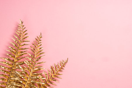 Golden palm leaves at pink background flat lay.の写真素材