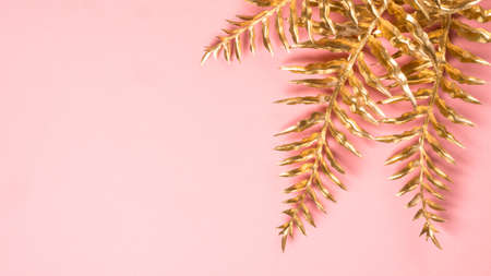 Golden palm leaves at pink background flat lay.の写真素材