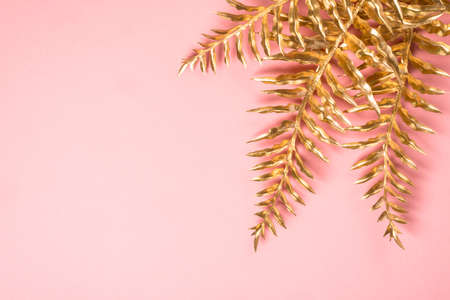 Golden palm leaves at pink background flat lay.