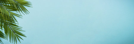 Palm leaves on blue background.