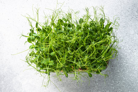 Green pea microgreens. Healthy dietary food.の写真素材