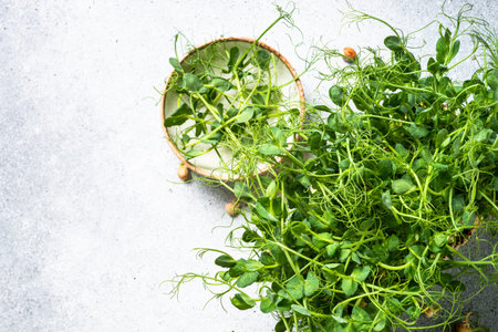 Green pea microgreens. Healthy dietary food.
