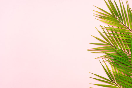 Palm leaves and white podium on pink background.の写真素材