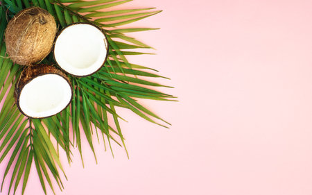 Palm leaves and coconut on pink background.の写真素材