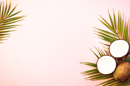 Palm leaves and coconut on pink background.の写真素材