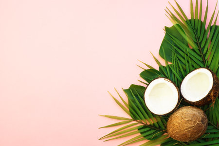Palm leaves and coconut on pink background.の写真素材
