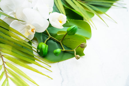 Palm leaves, hat and tropical flowers on white.の写真素材