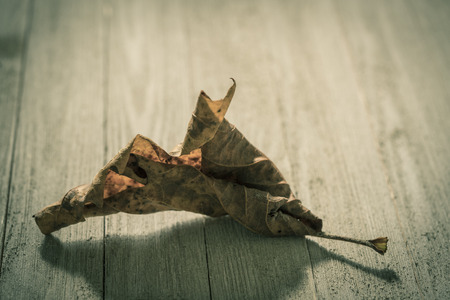 Dry autumn leaf on a porchの写真素材